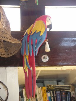 The parrot