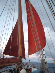 Twin headsails