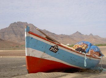 Picture Cape Verde Fish 1