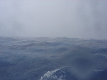 Fresh water on the top of salt.