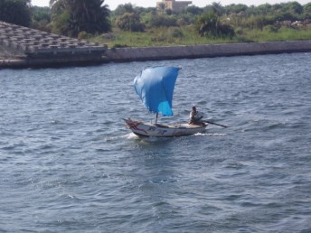 The local fishermen.