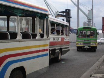 Picture Fiji busses