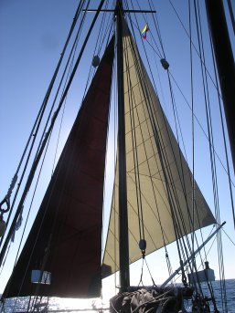 Jib and staysail poled out