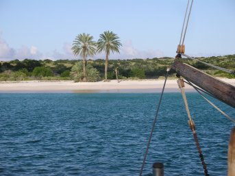 Palm trees on the beach, Blanquilla