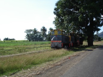 Sugar cane train