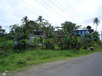 Fijian houses
