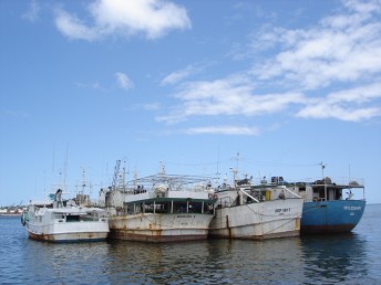 Fishing boats in Suva harbour