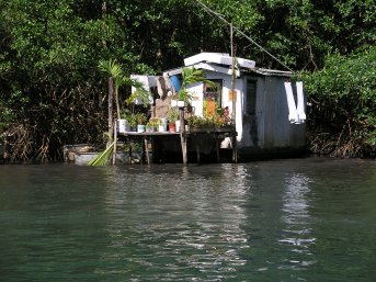 Picture Marigot Mangrove