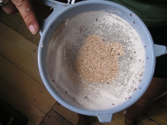 Visitors in the flour