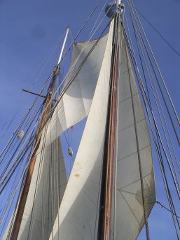 Mizzen staysail, fishermans and jib, before mizzen