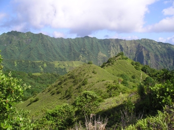 View from up the valley