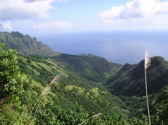 View back to Omoa
