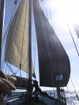 Double large headsails, one of our experiments