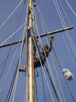 Merryn up the mast for the first time