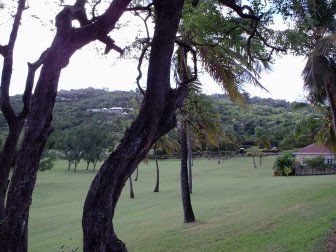 Lots of mowed grass on Mustique