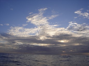 Picture NZ fluffy clouds