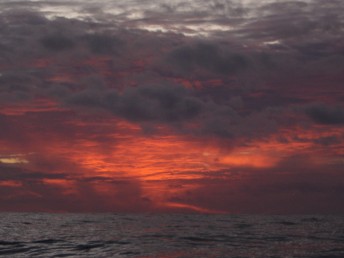 Picture NZ red sunset