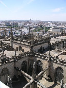 The Cathedral from the 'Giralda' tower