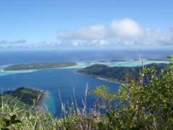 Glimpse of the view through the trees