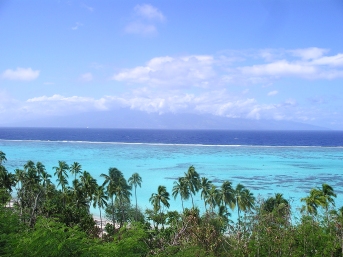 Blue coral reef colours in the sea