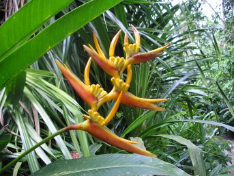 Cool plants in the Botanical Gardens