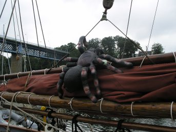 Spider leaking its stuffing