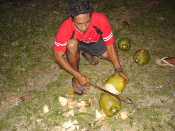 Coconut opening demo