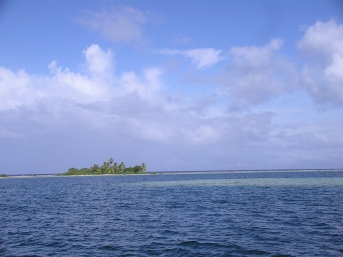 A motu, and a coral head in the foreground