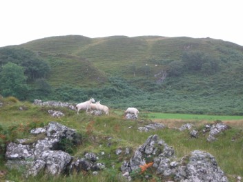 Sheep graze the hills