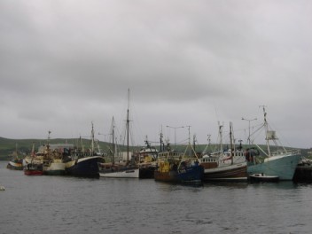 Lista at home among the fishing boats