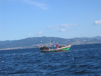 Fishing boat with Vego in the distance