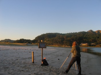 Sandpipers by the lagoon