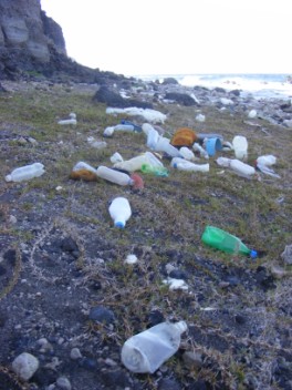 Plastic Bottles on Zeelandia Beach