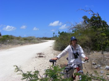 Trusty hayless horses (the bike that is, not kath)