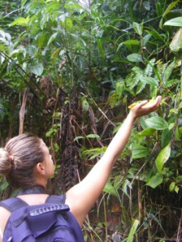 Megan tries to tempt thr Flycatcher