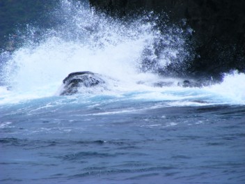 Ellen Rock, St Vincent Grenadines