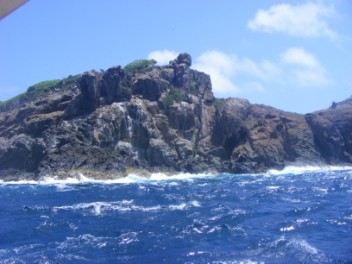 Allawash seabird island