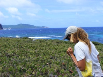 Frigate Island survey in the cacti