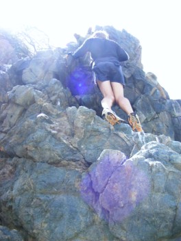 Dave searching for crevice nesters