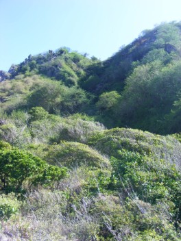 The walk up Diamond Rock