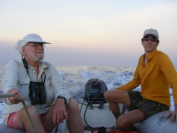 Black-capped Petrel Surveys