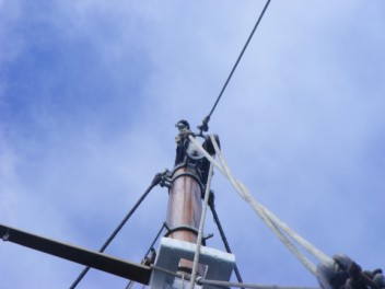 Magnificent Frigatebird christens our new mast