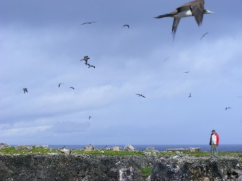 Douglas and some birds