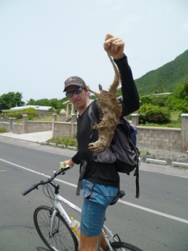 on bikes in search of predators and seabirds