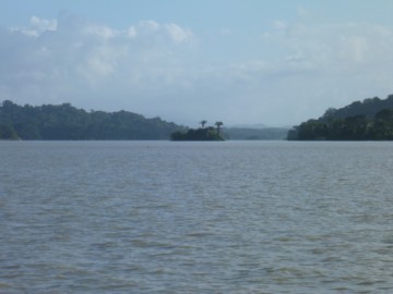 Panama Canal forest