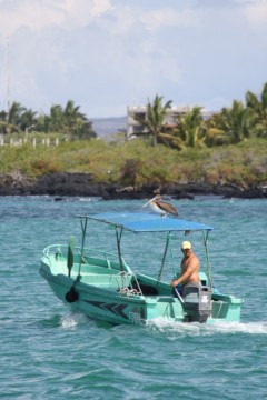 Hitching a ride