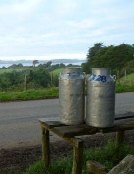 Milk churns waiting for colletion, Chiloe