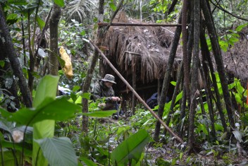 Jurrasic jungle hut