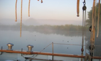 Swallows and house martins swoop through the mist